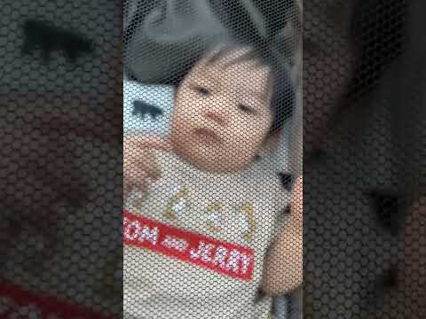 網越しに噛んでくる赤ちゃん👶🏻