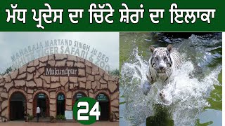 ਚਿੱਟੇ ਸ਼ੇਰਾਂ ਦਾ ਇਲਾਕਾ।ਮੁਕੰਦਪੁਰ|ਮੱਧ ਪ੍ਰਦੇਸ।ਰੀਵਾ|#devkuraiwala