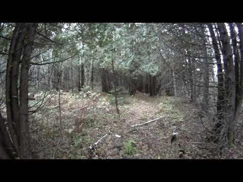 Birch Island to Lost Meadow