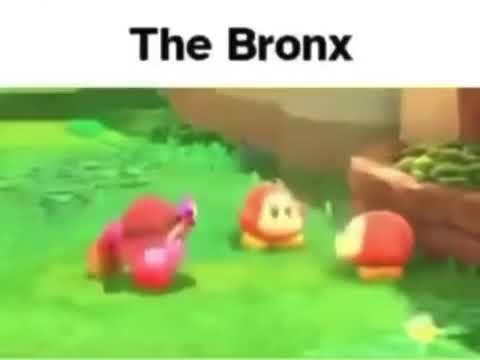 the bronx