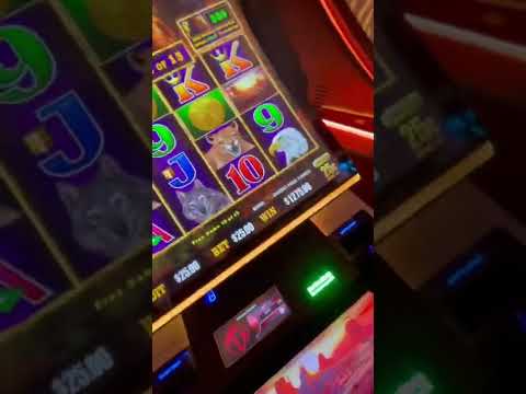 Las Vegas, Slot Machine, Buffalo Gold, Jack pot, ラスベガス、スロットマシーン、ジャックポット
