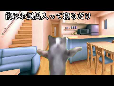 [猫ミーム]中の人の1日（超適当）