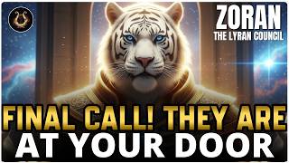 Lightworkers, The Elders Announce: A Surprise Is Approaching Your Door — Be Ready | Lyran Council
