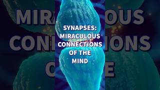 SYNAPSES..MIRACULOUS CONNECTIONS OF THE MIND ..critical for brain function ..#shorts @kraustbi
