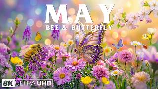 Springtime Splendor 4K | Dancing Butterflies & Busy Bees 🌷 A Magical Garden Awakening