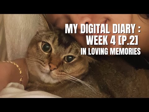THE DIGITAL DIARY SERIES: WEEK 4 [P. 2] - The Last 10 Days of Ramadan