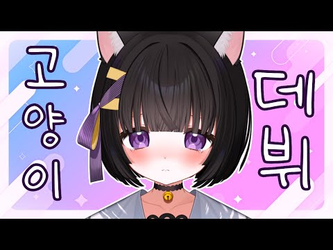 고양이 마녀 라니에 데뷔！🐈‍⬛🖤