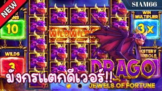 SIAM66 Drago jewels of fortune | pragmatic play