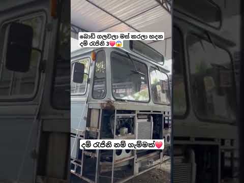 දම් රැජිනි 3 දැක්කද❤️😱 #trending #dhamrejini #automobile #viralvideo #busfan #buslover #new