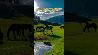 "Pahalgam in My Heart"