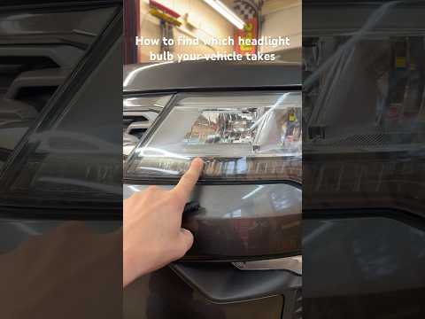 Which bulb do my headlights take?