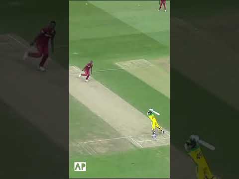 Incrediable catches Ever | World Cup Cricket | One day matches