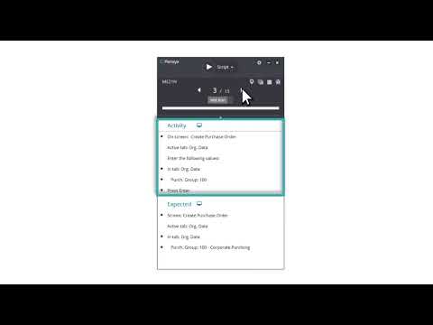 Quick Run Explained: Panaya's Test Player