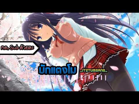 บักแตงโม-cover แดน|อนิเมะ ชิปมั้ง