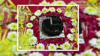 Celebrating 4th Anniversary || VM3 Tech Solutions LLP