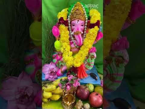 Appac's Vinayakar Chaturthi Celebration - Part 2