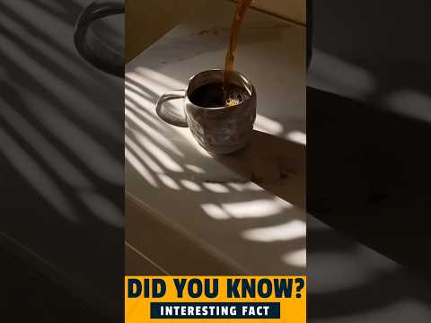 The Water You Drink Is Millions of Years Old The Eternal Cycle of Earth’s Water