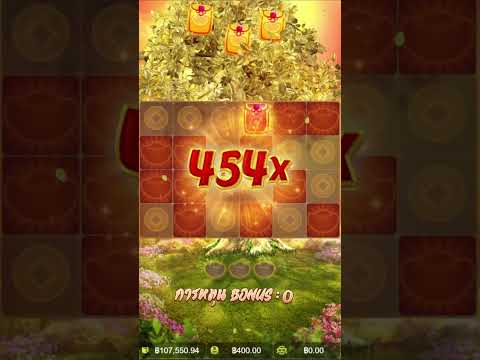 คูณ400 เอาแต่ซองทอง ต้นไม้แห่งโชคลาภ PG fortune tree pg slot สล็อตค่าย PG #สล็อตpg #สล็อตแตกง่าย