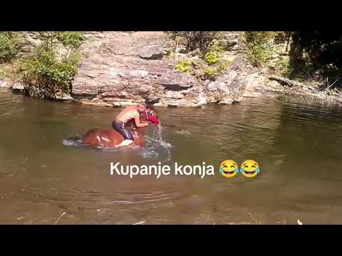 Kupanje konja u reci