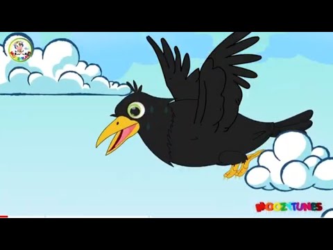 Birds Names | The Bird Song | #moozytunes #learning #birdsnames #kidslearning #birdsongs #birds