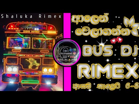 ආලෙන් වෙලාගන්න කෝලම් කලා Bus Dj Rimex |💖Alen Welaganna Kolam Kala Bus Dj Rimex |💖 SHALU BUS KINGDOM