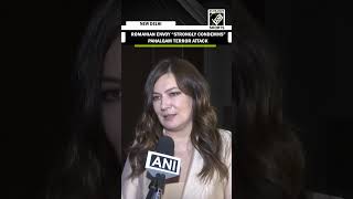 Romanian envoy to India ‘strongly condemns’ Pahalgam terror attack; supports fight against terror