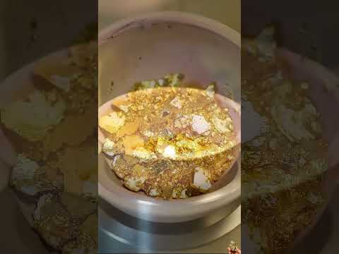 Gold Quartz Wait End🪙😮  #golddiscovery #treasure#goldhunting #gold #goldrush #goldnugget #goldmining