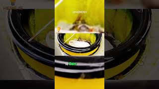 Can the Sea Bin Clean Our Oceans