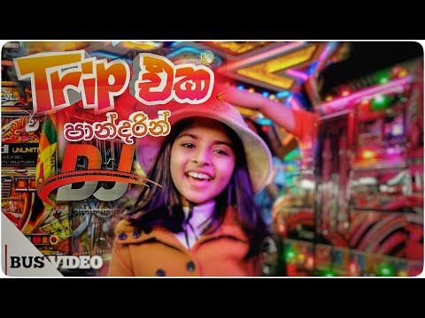 Trip Eka Pandarin Dj ( ට්‍රිප් එක පාන්දරින් ) Bus Video