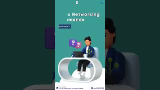 Basic Networking Commands Every IT Pro Should Know!