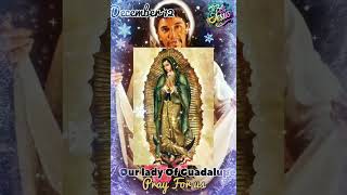Our Lady of Guadalupe Pray for Us | Feast day: 12 December