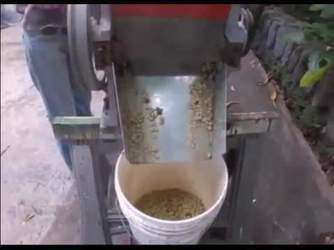 Coffee Bean Extractor Pulper Pulping Machine
