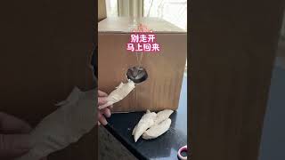 #fypシ #fypシ #gaming101 #learnontiktok #experiment #mythbusters #oneminute #quicktips