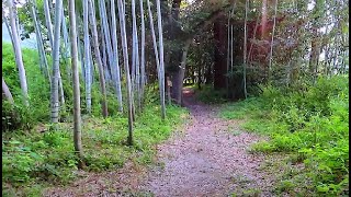 いの町波川木漏れ日公園を散歩