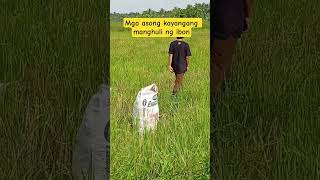 MGA ASONG KAYANG MANGHULI NG IBON SANAYVAT ENSAYADO #kmjs #paws #trendingshorts