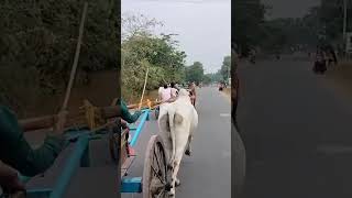 #shortsfeed #kothakonda #jatara #trials