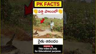 ❤️రైతు ఆనందం❤️#amazingfacts #farmer #pkfacts #shorts #telugufacts