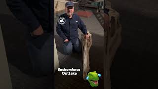 Suchomimus: Blooper Reel