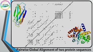Comparing two Sequences using Dot Plot
