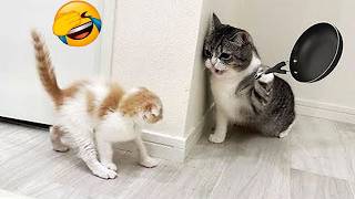 Try Not To Laugh 🤣 Best Funny Cats and Dogs Videos 2026 😺🐶 Part 21