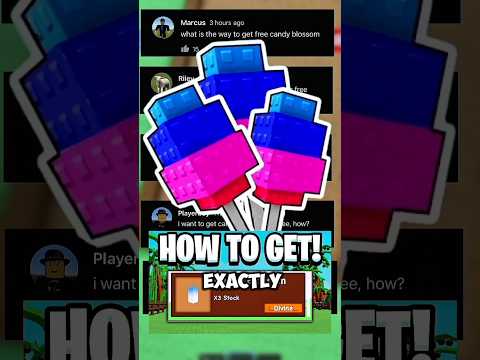 how to get CANDY BLOSSOM 🌸 in Grow a Garden!!!