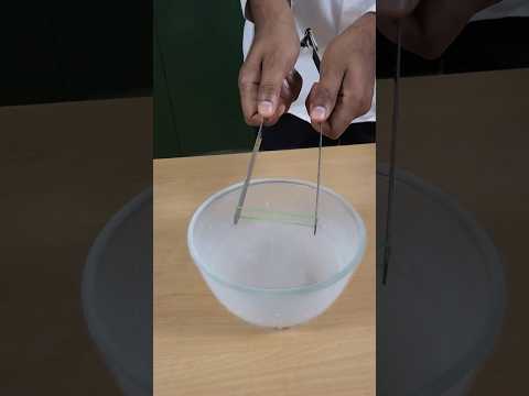 Rubber band in Liquid Nitrogen #physics #science #mandalstudy #experiment