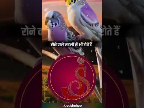 Rishte | #motivational #trending #viralshorts #rishte #ai