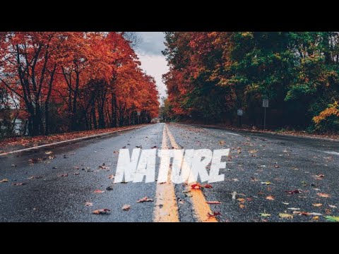 Cinematic Nature | Season Transform | Cinematic Video