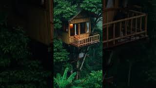 🌧️ Rain Falling in the Forest #rainyday