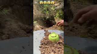 #gold #mining #goldbusiness #goldindustry #cleaning #mud  #travel #love #goldmining #goldmined 😱😱😱😱