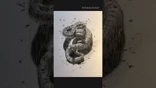 Shape Drawing Study - Snake Art WIP  #artprocess #artwip #drawingstudy