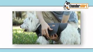 French (Français) ThunderShirt Video