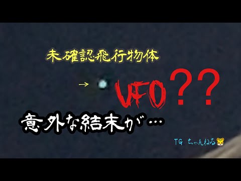 未確認飛行物体？UFO？東京で目撃されたその意外な結末とは…