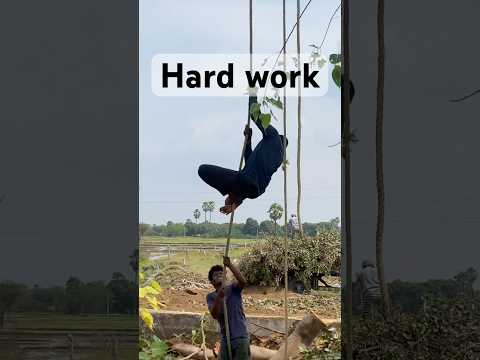 Tree cutting work #trees #hardwork